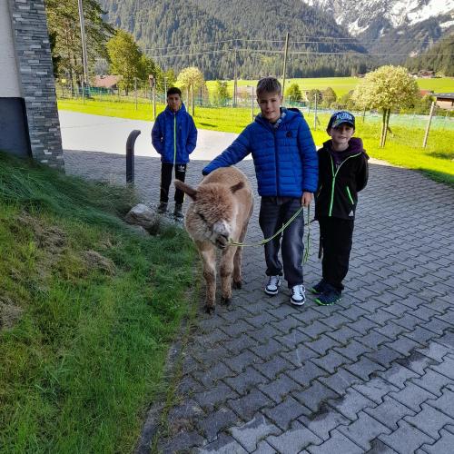 Achensee