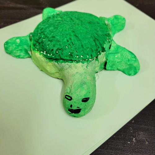 Schildkröte