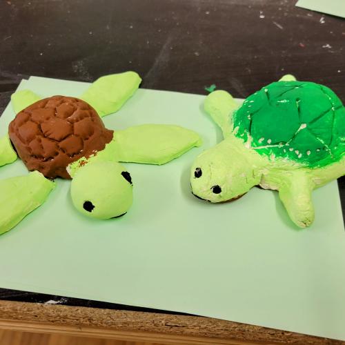 Schildkröten