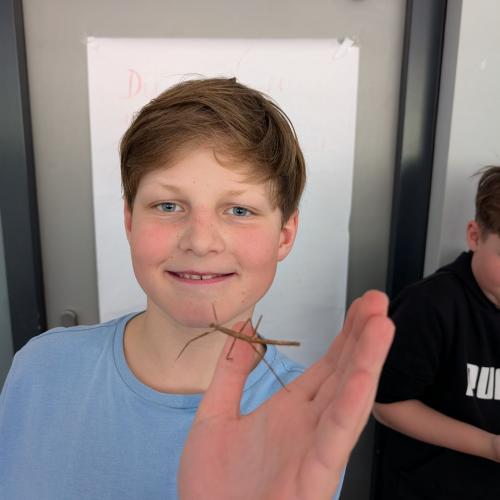 31