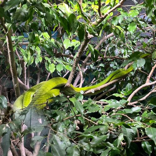 Haus der Natur 