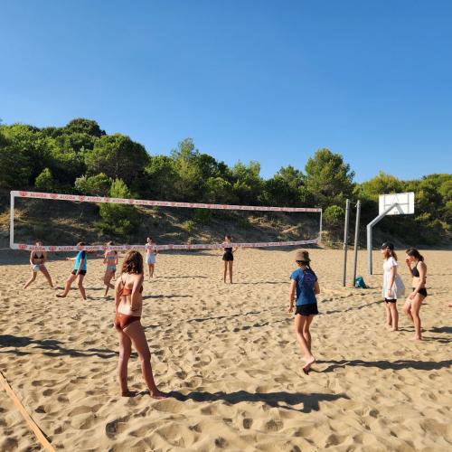 Volley