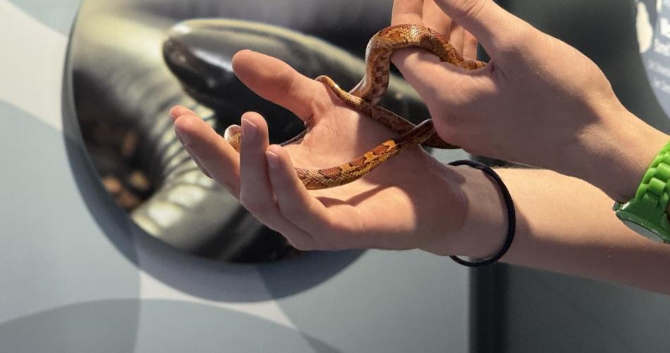 Exkursion: Haus der Natur