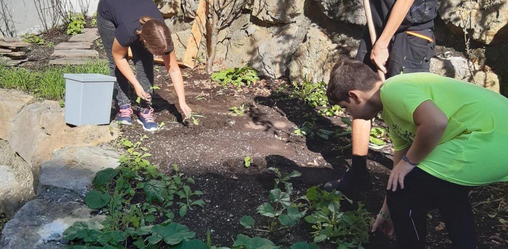 Gartenarbeit 2 Gartenarbeit 2