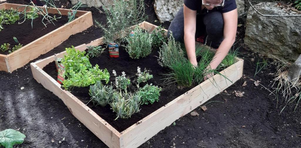 Gartenarbeit Gartenarbeit