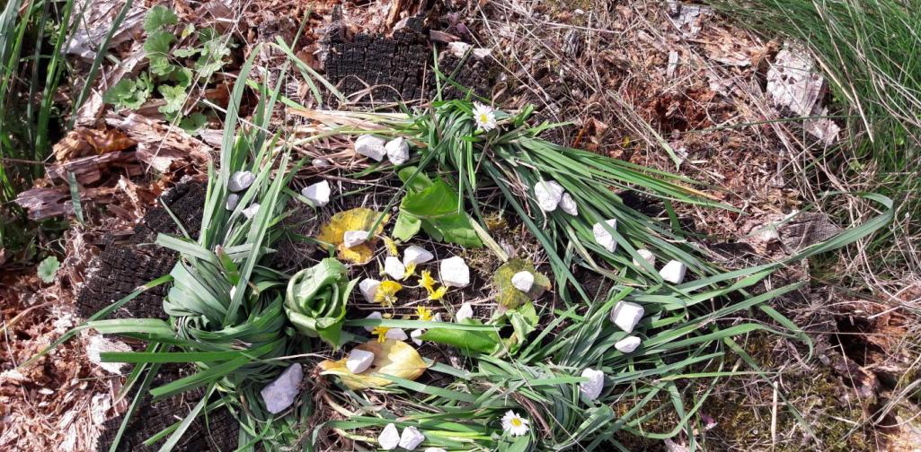 Mandalas mit Naturmaterialien Mandalas mit Naturmaterialien