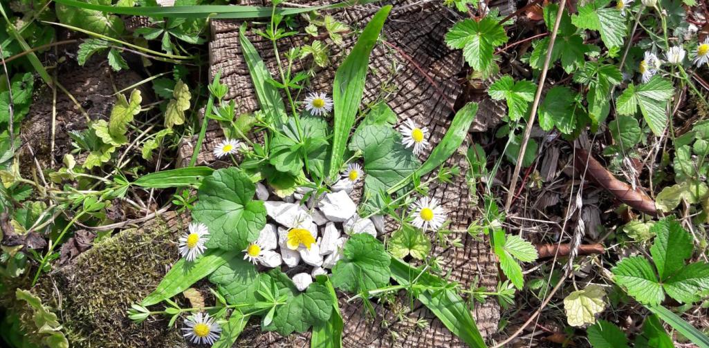Mandalas mit Naturmaterialien Mandalas mit Naturmaterialien