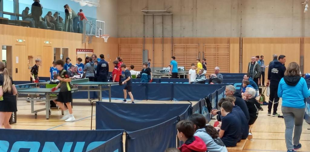 Halle im Überblick 2